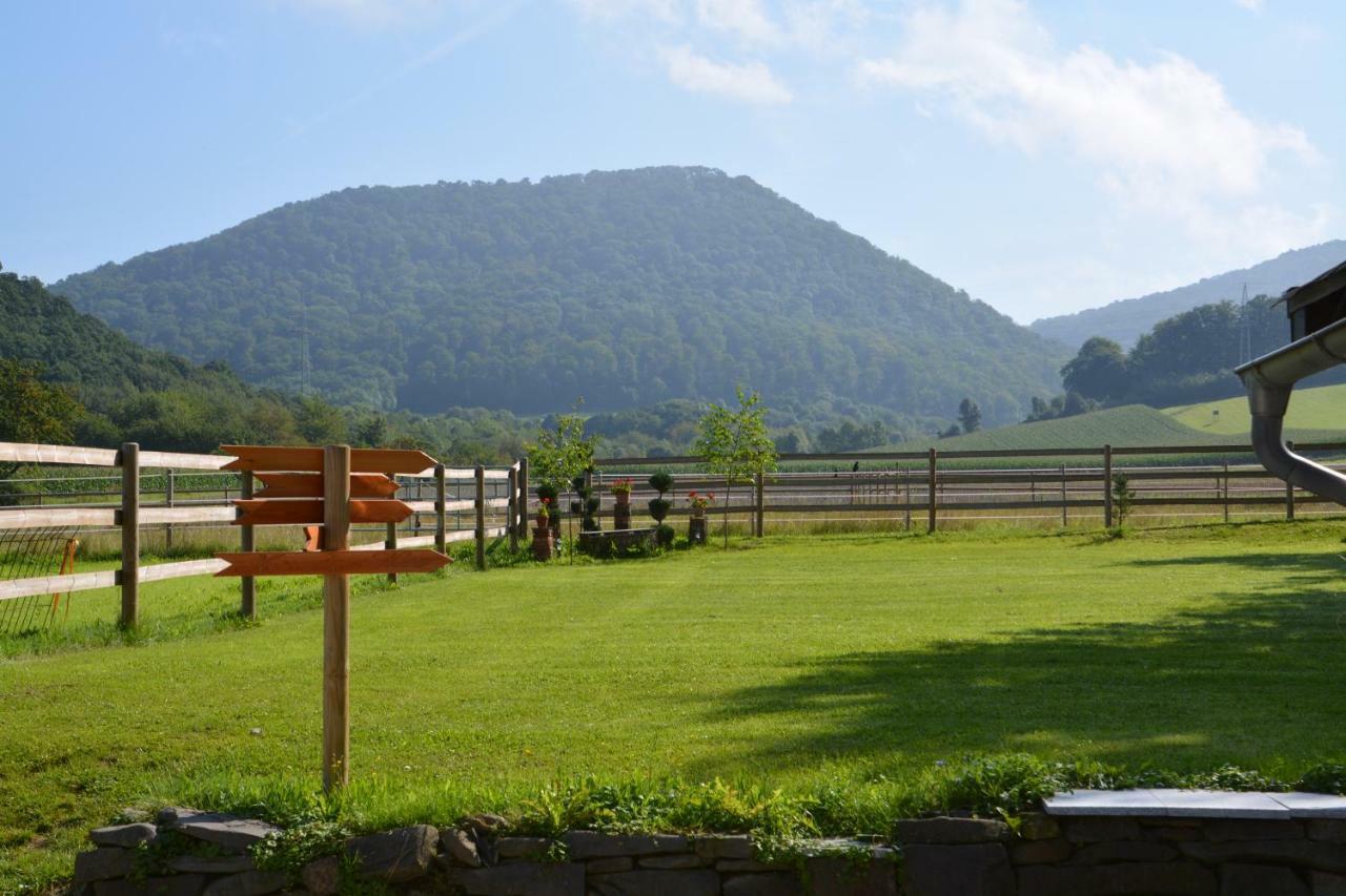 Sieben-Berge-Haus Guest House Bruggen  ภายนอก รูปภาพ