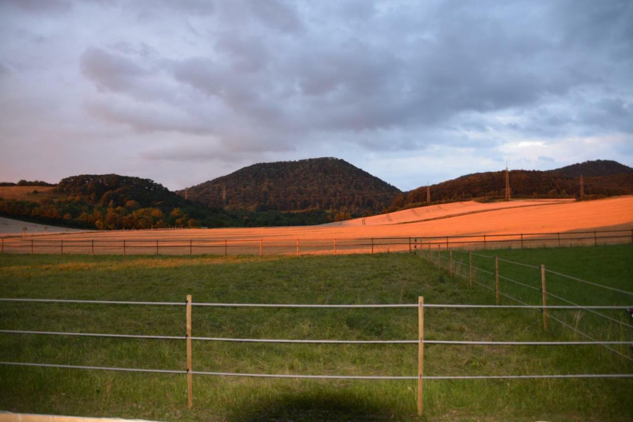 Sieben-Berge-Haus Guest House Bruggen  ภายนอก รูปภาพ